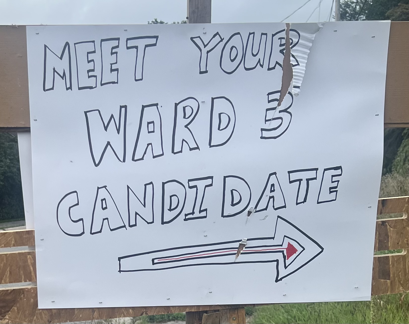 Meet Your Ward 3 Candidate